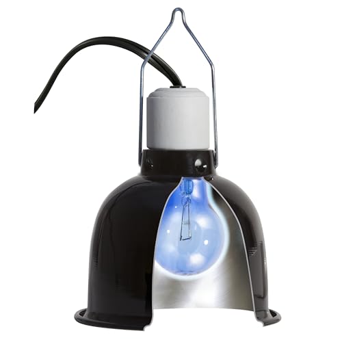 Zoo Med Daylight Blue Reptile Bulb 40 Watts - Pack of 12