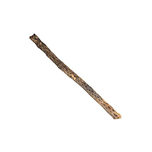 Galapagos 05274 Branched Cholla Wood for Aquarium, Natural