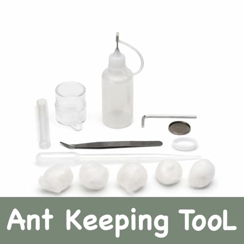 Terra Core Hybrid Formicarium Ant Nest with Starter Kit 9.84 x 9.05 x 5.11 in - size: Terra Core Series-Hybrid