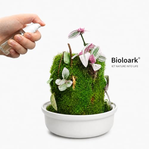 Bioloark MY-150K Glass Plant Terrarium with Ceramic Base, 6.4” x 6.7” Black, Moss Terrarium Container with Clear Glass Cover, Ventilation Holes, Moisture Cycle Lid for Ferns, Succulents & Small Plants - color: MY-150K (6.4 "X6.7")Black