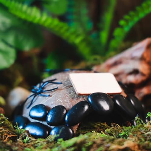 Reptile Hideouts, Handmade Handmade Reptile Home, Hide Cave for Crested Gecko, Leopard Gecko, Lizard, Snake, Crabs Hide Cave, Personalized Terrarium & Vivarium Décor(Spider) - style: Spider