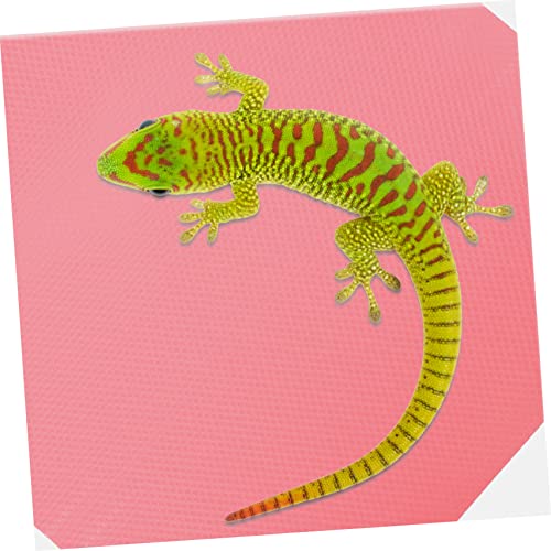 GALPADA Reptile Carpet Substrate for Terrarium Nonslip Reptile Bedding for Leopard Gecko Lizard Snake and Tortoise Sturdy and Easy to Clean Accessories