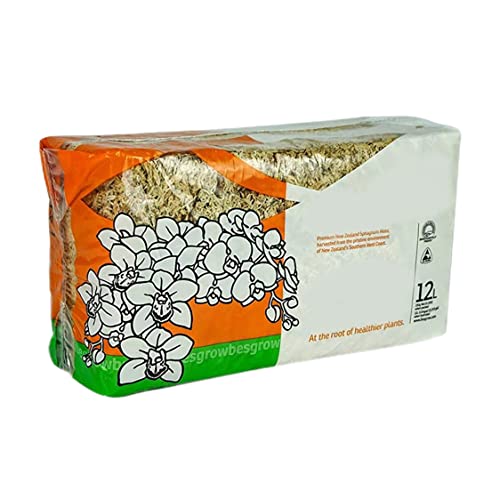 Sphagnum Moss Dried Spagnum Dry Moss for Reptiles Bedding and Terrarium Pet Supplies 150g