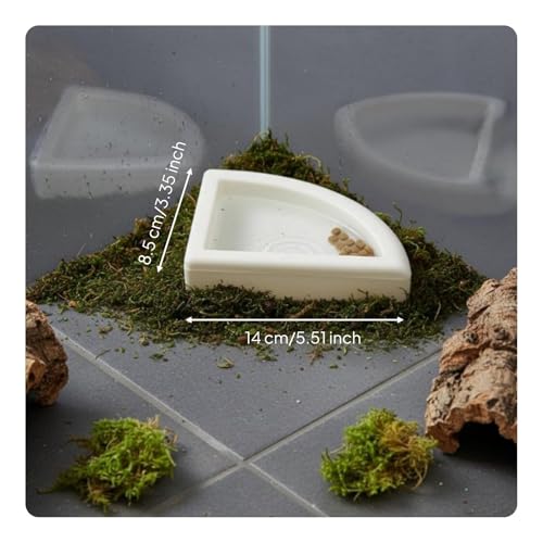 Split Design Reptile Bowl Multi-Functional Corner Reptile Food Bowl Material Terrarium Accessory, L - size: L