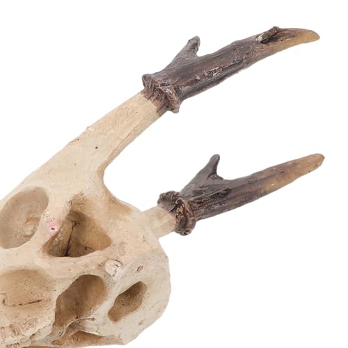 Kichvoe Reptile Skull Hideout Resin Decoration Medium Muntiacus Skull Cave Reptile Habitat Shelter for Lizards Geckos Snakes Amphibians Terrarium
