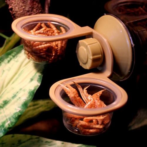 HEMOTON 2pcs Suction Cup Reptile Food Bowls with Single and Double Basin Design, Sturdy Plastic Lizard Feeding Dish for Terrarium Use, Suitable for Geckos, Frogs, and Small Amphibians