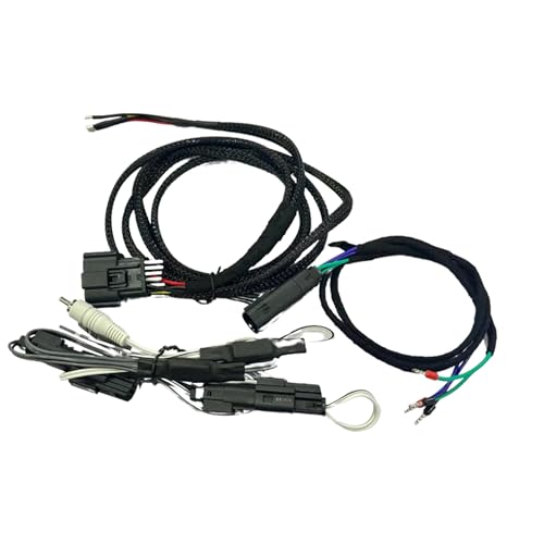 Diamond Audio 2024 Touring Motorcycle Audio Integration Harness – 4-Channel Power, Fairing, and Saddlebag Setup - style: HDPW24RADIO