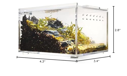 Herpcult Magnetic Acrylic Mini-Flat Enclosure 3 x 4 x 2.5