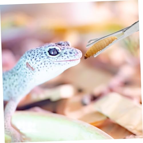 GALPADA Stainless Steel Reptile Feeding Tweezers Long Handle Tongs with Smooth Tips for Secure Handling for Terrarium Supplies and Snake Feeding