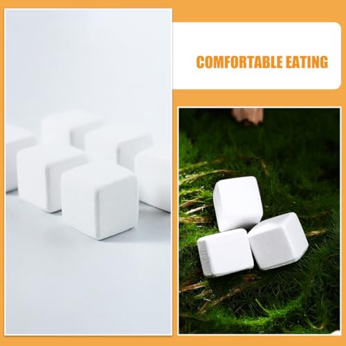 PRETYZOOM 30pcs Reptile and Amphibian Mineral Calcium Block with Microelements for Turtle Tortoise Frog Lizard Chameleon Health and Water Quality Stabilizer