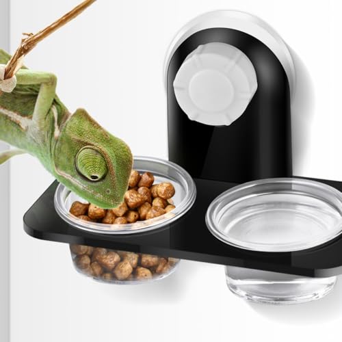 Healifty 2pcs Reptile Feeder Bowl with Suction Cups, Dual-Compartment Stable Plastic Worm Container, Escape-Proof Food and Water Dish for Lizards, Geckos, and Crawling Pets