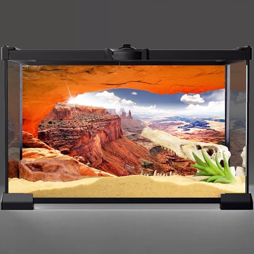 AWERT Stone Reptile Habitat Background Sky Oasis Mountain Cactus Sun and Desert Terrarium Background 36x24 inches Polyester Background - size: 36x24in/90x60cm