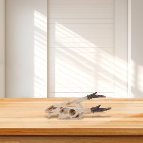 KALLORY Reptile Terrarium Skull Hideout Resin Habitat Decor Medium Size Snake Tank Decoration for Bearded Dragon Lizard Shelter in Reptile Enclosure