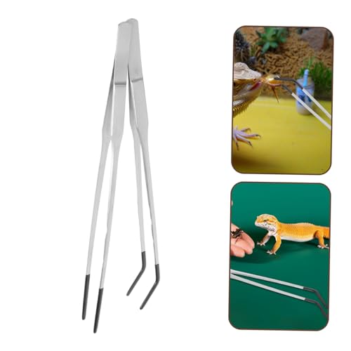 TEHAUX 2pcs Stainless Steel Feeder Tongs with Rubber Tips Curved Long Handle Reptile Accessories for Easy Feeding of Snakes Lizards and Aquatic Plants
