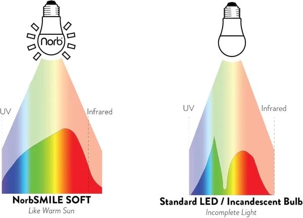 NorbSMILE Soft Full Spectrum Light Bulb | US Patented | A19 LED Bulb & 9W 720 Lumens | 4000K Soft Daylight White, CRI 96 & Dimmable E26 Base | Supports Energy, Mood & Circadian Rhythm - style: Smile Soft 9W (1 Pack)