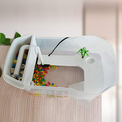PINVNBY Plastic Turtle Tank Reptile Habitat Pet Terrariums Turtles Tank Aquarium Terrapin Topper Basking with Platform Plants,Durable,Safe, Non-Toxic(White) - color: White