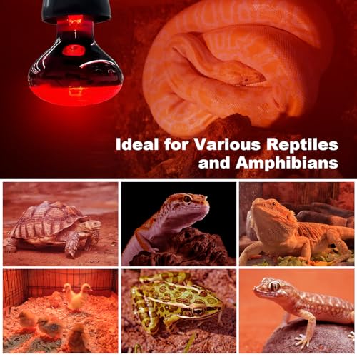 2 Pack Infrared Heat Lamp Bulbs, 100W Reptile Heat Emitter Infrared Basking Spot Light, Red Heat Lamp for Chickens Coop Reptile Pets Brooder Use - style: 100W Infrared Bulbs
