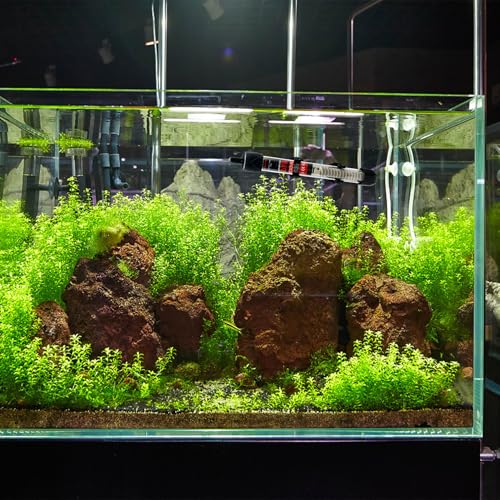 Fish Tank Aquarium Heater - Adjustable Temperature Submersible Thermostat Heater,25W/50W/100W/150W/200W/300W - size: 50W