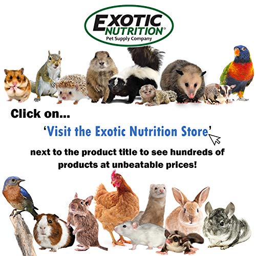 Pet Bonding Scarf - Carry Bonding Pouch - for Chinchillas, Hedgehogs, Rats, Sugar Gliders, Guinea Pigs, Rabbits, Hamsters, Gerbils, Squirrels, Ferrets, Kittens, Parrots, Birds, Reptiles (Black)