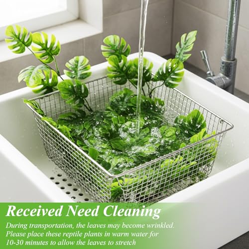 Suncalla Reptile Plants Terrarium Hanging Plants Vines Boston Climbing Terrarium Plant with Suction Cup for Bearded Dragons Lizards Crested Gecko Snake Crab Tank(Lush Series,Multiple Green) - style: Lush Series