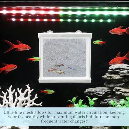 MY MIRONEY 6.3" x 5.63" x 6.22" Fish Incubator Mesh Box Aquarium Breeder Box White Nylon Mesh Juvenile Fish Separation Net Fry Hatchery with Suction Cups Pack of 2 - style: 6.3" x 5.63" x 6.22"; White; without Divider