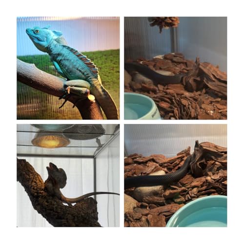 120 Gallon Bearded Dragon Tank, 48x24x24 Reptile Enclosure - size: 48x24x24" (120 Gallon)