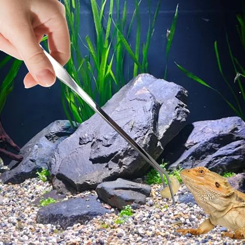 Aquarium Tweezers for Reptile Feeding, Stainless Steel Feeding Tongs for Reptile, 27cm Long Tongs with Curved Tips, Silver for Terrarium Enclosure Gecko Turtle Axolotl Bearded Leopard Lizard Saltwater