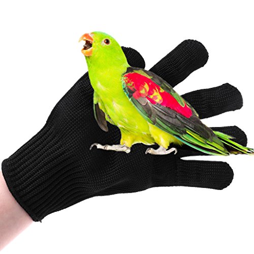 Anti-Bite Gloves for Bird Training, Cut Resistant Protective Handling Gloves for Parrots, Cockatiels, Parrotlets, Small Animals, Guinea Pigs - Flexible & Breathable