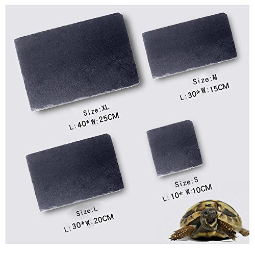 OMEM Turtle Reptile Rock Food Plate Grinding the Nail (S) - size: S