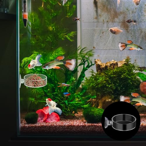 60mm Fish Tank Feeder Dish Aquarium Shrimp Feeder Dish with Suction Clear Fish Tank Feeding Bowl Round Clear Dishes Tray(2pcs)