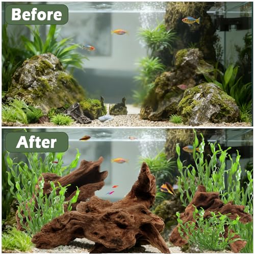 6PCS Natural Driftwood for Aquarium & Reptile Tank, 3–6 Inches Unique Wood Decor for Fish Tank, Turtles, Lizards, Snakes, Natural Driftwood for Home Decor
