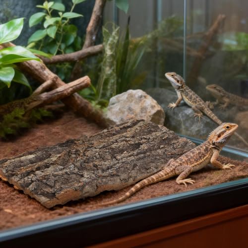 Veemoon Reptile Bark Decor 2 Pcs Natural Tree Bark Hide for Terrarium Climbing Platform for Lizard Gecko Bearded Dragon Snake 7.67 X 5.82 X 0.39 in