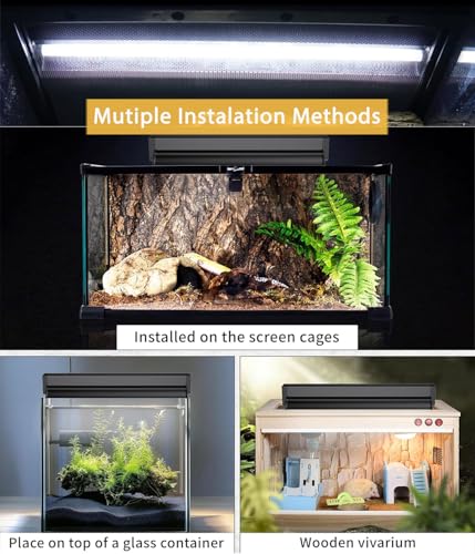 T5 Reptile Light Fixture Combo Kit 24W Light Fixture Reptile Terrarium Hood 10.0 UVB Light Bulb Fluorescent Tube for Tropical and Deserts Such as Bearded Dragon Lizards and Tortoises - size: 24W T5 Suite