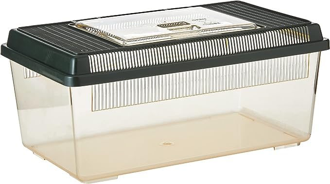Exo Terra Faunarium Flat Home Plastic Reptile Terrarium, Medium (14" x 8" x 6") | Perfect for Temporary Housing, Quarantine, or Transport | Transparent Plastic Door for Easy Access - size: Medium