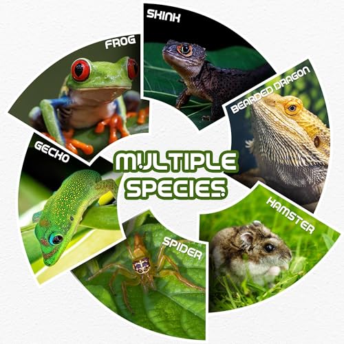 Wall Mount Reptile Hide Cave with Food Bowl for Terrarium Habitat Setup, Cute Hide with Treats Bowl, Essential and Safe Hideout for Gecko, Spider, Lizard, Hamster, Crab - color: Green