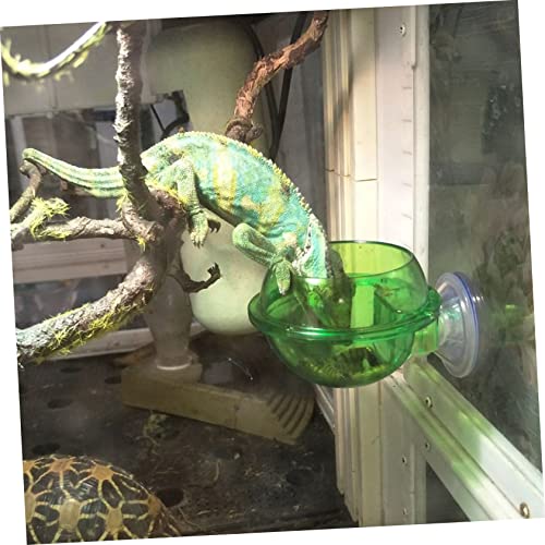 Abaodam 2pcs Reptile Feeding Bowl Cup Safe Water Dish for Lizards Geckos and Chameleons Easy to Install for Reptile Hydration