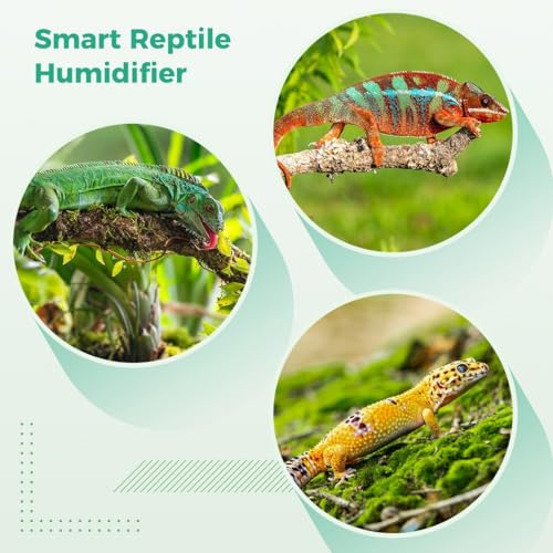 Smart Reptile Mist System with Timer, Auto Misting Nozzles for Vivarium & Tank