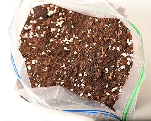 Succulent & Cactus Soil Mix by Perfect Plants (8QTS) - size: 8 quarts