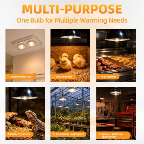 250W Clear Heat Lamp Bulbs, 8000 Hours Rated, R40 Bathroom Shower Incandescent Light Bulb, Infrared Heating for Chickens, Reptiles, Pets, Food, E26 Base, 4 Pack - color: White, size: 4 Pack