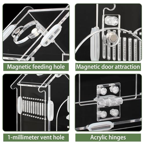 Magnetic Acrylic Terrarium for Jumping Spiders & Small Pets – Easy-Access Front Opening, Feeding Hole, Ideal for Reptiles, Tarantulas, Hermit Crabs & More - size: 9.8"x 4.2"x 7.5"