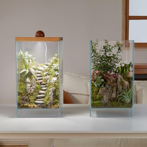 13.7H+7.8W Desktop Glass Plant Terrarium with Light, Large Propagation Station for Succulent, Moss, Miniature Gardening Landscape, Betta Fish Tank