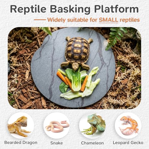 Reptile Basking Platform, Diatomaceous Earth Slate Rock Feeding Dish, Tortoise Bathing Resting Terrace Habitat Accessories for Bearded Dragon Leopard Gecko Snake Lizard Turtle Tank, 6''x6'' - size: 6''x6''