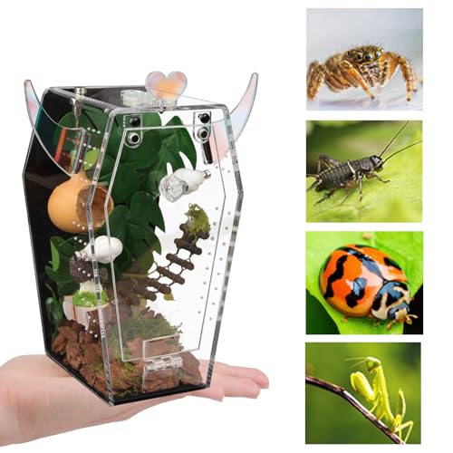 Acrylic Jumping Spider Enclosure,3mm Clear Coffin Terrarium with Magnetic Door & Feeding Hole, Secure Habitat for Jumping Spiders, Mantis, Small Tarantulas