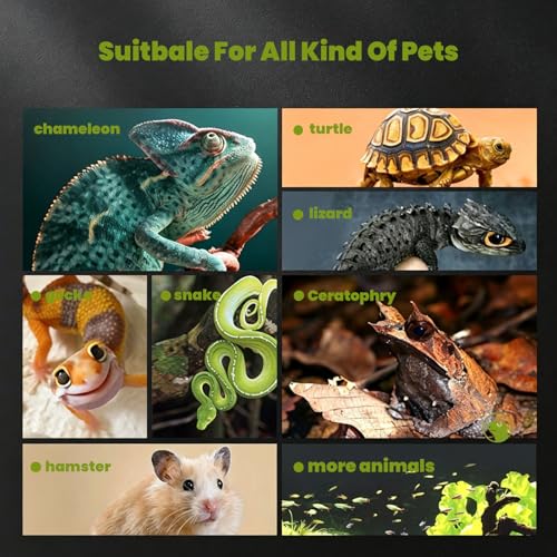4 Gallon Glass Reptile Terrarium 12"x8"x8" – Stackable Full View Tank for Leopard Gecko, Frog, Snake, Hermit Crab, Tarantula, Jumping Spider Enclosure - size: 12*8*8in