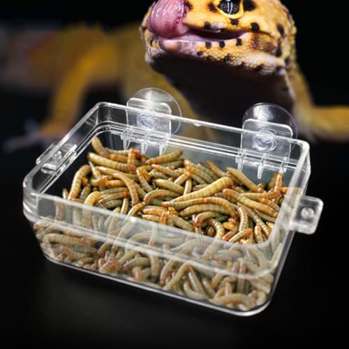 PRETYZOOM Reptile Feeder Escape-Proof Food Bowl Large with Suction Cup Multi-Function Feeding Dish for Geckos and Small Reptile Pets