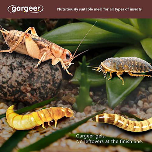 Gargeer Bugs and Insects Food. Complete Gel Diet for Roaches, Crickets, Worms, Dubia, Fly, etc. Made in The USA, Using Premium Nutritional Ingredients. 3oz Powder Turns into 1 Pound of Ready Food. - size: 3 Ounce (Pack of 1)