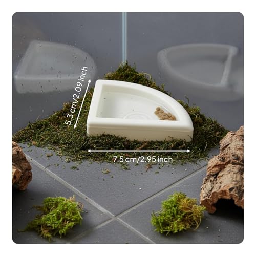 Split Design Reptile Bowl Multi-Functional Corner Reptile Food Bowl Material Terrarium Accessory, S - size: S