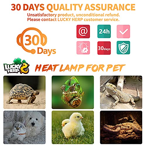 LUCKY HERP 50W Ceramic Heat Emitter, Reptile Heat Bulbs, Ceramic Heat Lamp for Reptiles, Amphibian, Chicken, Dog, Cat (2-Pack) - size: 50