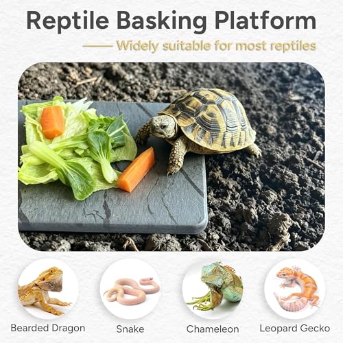 Reptile Basking Platform, 5.9''x9.8'' Diatomaceous Earth Feeding Mat Slate Habitat Accessories for Bearded Dragon Tortoise Lizard Gecko Snake Turtle Tank - size: 5.9''x9.8''
