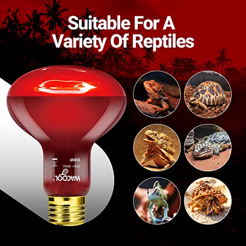 WACOOL 4 Pack Reptile Heat Lamp Bulbs,100W Infrared Basking Spot Light for Reptiles & Amphibians, Red Heat Lamp Bulb for Bearded Dragon Gecko Turtle Lizard (75, Watts)… - style: 100W-4 PACK